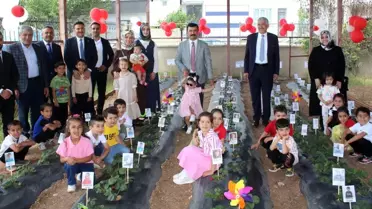 Kahta Gelincik Anaokulu'nda Çilek Hasadı Etkinliği