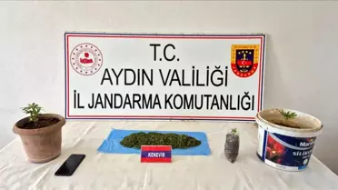 Aydın'da Uyuşturucu Baskını: 1 Gözaltı