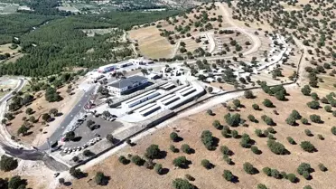 Ege Bölgesi'nin En Modern Hayvan Yaşam Merkezi Manisa'da Açıldı
