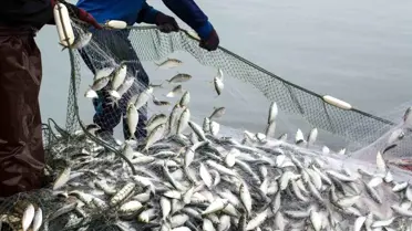 Muğla Su Ürünleri İhracatı İki Katına Çıktı