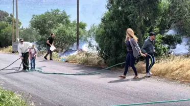 Bodrum'da Yangın: 5 Hektar Alan Zarar Gördü