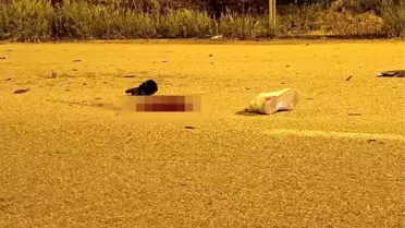 Gümüşhane'de Motosiklet Kazası: Bir Kişi Hayatını Kaybetti