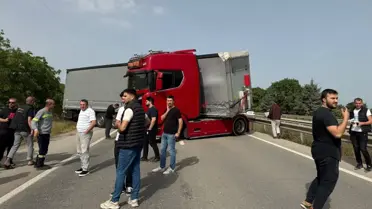 Bir arı trafiği birbirine kattı