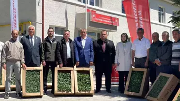 Gölpazarı'nda Fide Dağıtımıyla Tarıma Destek