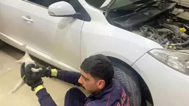Elazığ'da Aracın Motoruna Sıkışan Kedi Kurtarıldı