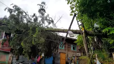 Yenice'de Rüzgar Ağaç Devrip Evi Hasarladı