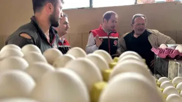 Erzincan'da Tavukçulukta Yeni Yatırımlar