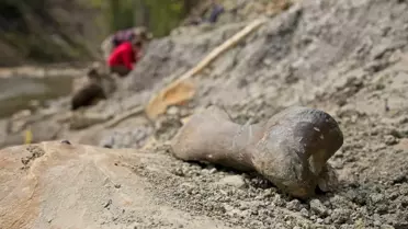 Alberta'da Dinozorların Gizemli Mezarı
