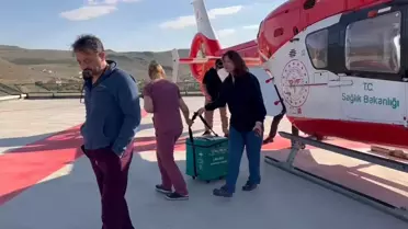 Ecem Gökkaya'nın Organ Bağışı 4 Hastaya Umut Oldu