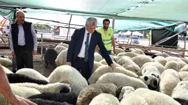 Şahinbey Belediyesi, Kurbanlık Fiyatlarını Düşük Tutacak