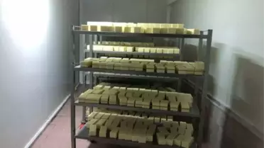 Pamukova'da 5 Ton Sahte Peynir Ele Geçirildi