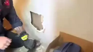 Kozlu'da Yavru Kediler Duvar Boşluğunda Mahsur Kaldı