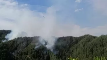 Kahramanmaraş'ta Orman Yangını