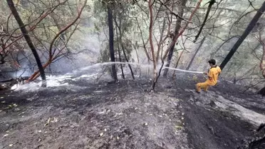 Kahramanmaraş'ta Orman Yangını Kontrol Altına Alındı