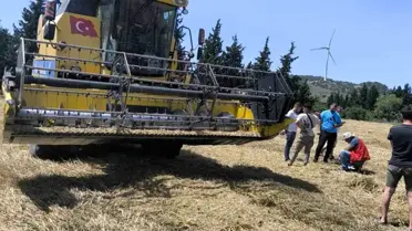 Muğla'da 2025 Hasat Sezonu Başladı