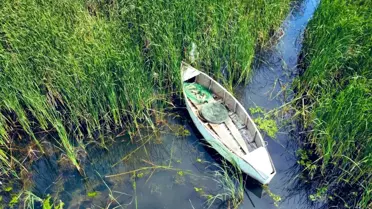 Bursa'da Kaçak Avcılığa Darbe: 466 Kilo Balık Ele Ge geçirildi