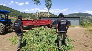 Balıkesir'de Uyuşturucu Operasyonu