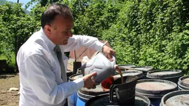 Giresun'da Balık Atıkları ile Tarım Gübresi Üretimi
