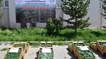 Kars'ta Üreticilere Fide Dağıtımı