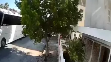 Tur Otobüsü Şoförü Sokak Köpeğini Ezdi