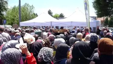 Tavşanlı'da Ücretsiz Fide Dağıtımında İzdiham