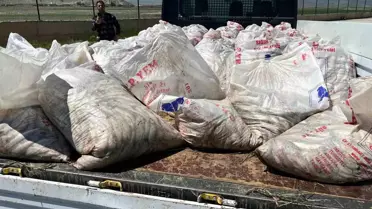 Ağrı'da 2 Ton Kaçak İncik Kefali Ele Geçirildi