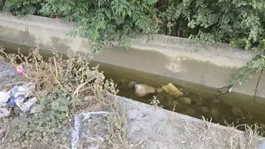 2 Yaşındaki Çocuk Kanalda Boğuldu