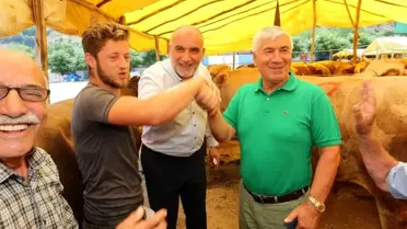 Samsun Canik'te Kurbanlık Hayvan Pazarı Açıldı