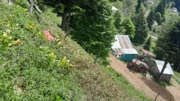 Akyazı'da Kamyonet Kazası: 1 Ölü, 1 Yaralı