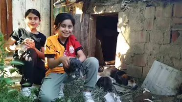 Osmancık'ta Kardeşlerden Hayvanseverlik Örneği