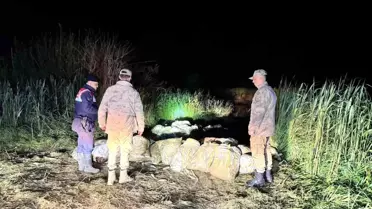 Van'da Kaçak İnci Kefali Operasyonu