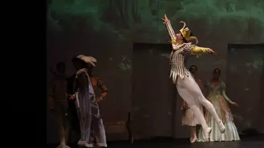 Bodrum Bale Festivali 'Kuğu Gölü' ile Başladı