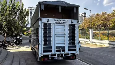 Adana'da 7.4 Milyon Kaçak Makaron Ele Geçirildi
