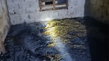 Adana'da Ahır Yangını, 7 Küçükbaş Telef Oldu