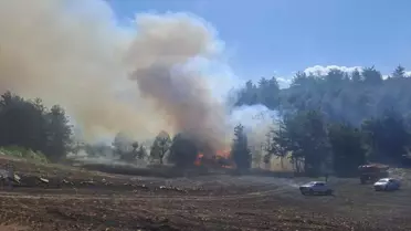 Kozan'da Orman Yangını Kontrol Altına Alındı