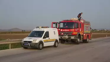Ceyhan'da Dere Kenarında Erkek Cesedi Bulundu