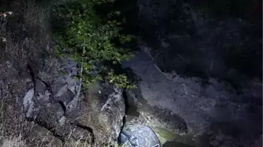 Kamyonet Dereye Düştü: Sürücü Yaralandı