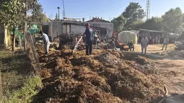 Adapazarı'nda Ahır Yangını