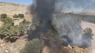 Adıyaman'daki Orman Yangını Söndürüldü