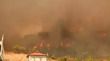 Adıyaman'da Orman Yangınına Müdahale