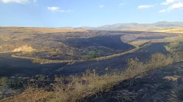 Sandıklı'da Tarım Arazisinde Yangın