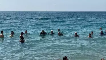 Akdeniz Tropikalleşiyor