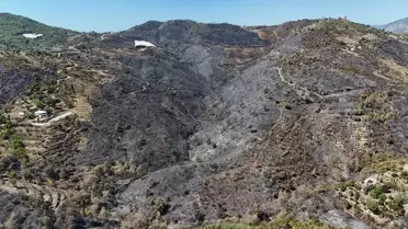 Alanya'da Orman Yangını Kontrol Altında