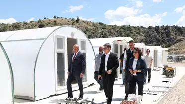 Amasya'da Sokak Hayvanları Barınağı İncelemesi