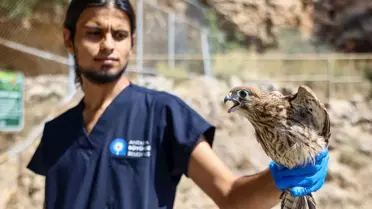 Antalya'da 7 Kerkenez Doğaya Salındı