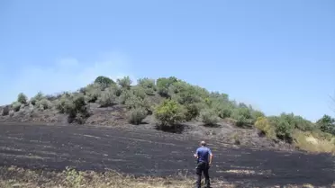 Antalya'da Zeytinlik Yangını Söndürüldü