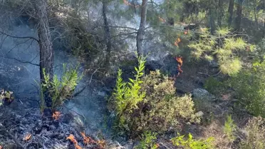 Manavgat'ta Orman Yangını Kontrol Altına Alındı