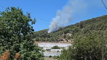 Kumluca'da Orman Yangını Kontrol Altında
