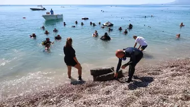 Kıyı Temizleme Günü'nde Temizlik Seferberliği
