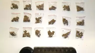 Antalya'da 158 Şüpheli Yakalandı